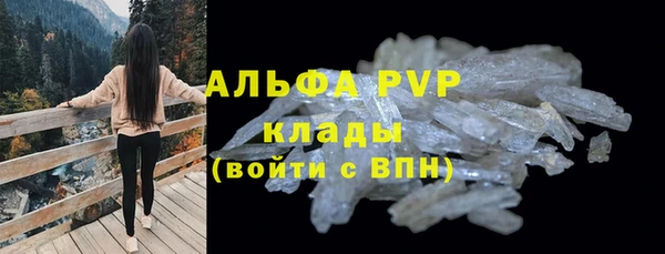 apvp Пересвет