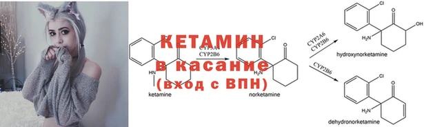 круглые Ельня