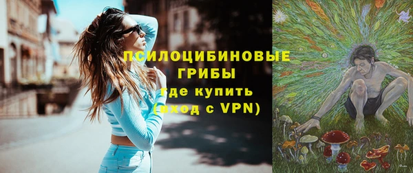 apvp Пересвет