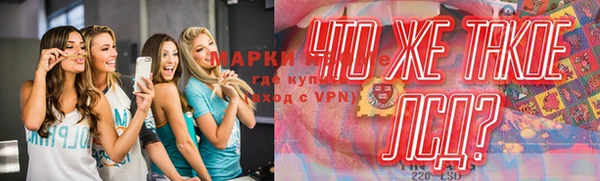 apvp Пересвет