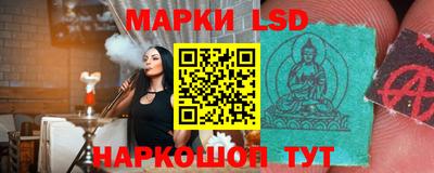 тгк Бийск