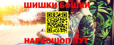 тгк Бийск