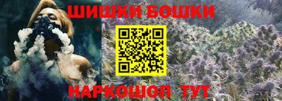 тгк Бийск