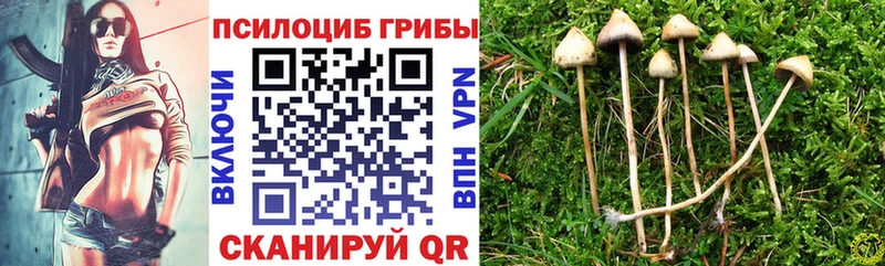 Псилоцибиновые грибы MAGIC MUSHROOMS  Арсеньев 