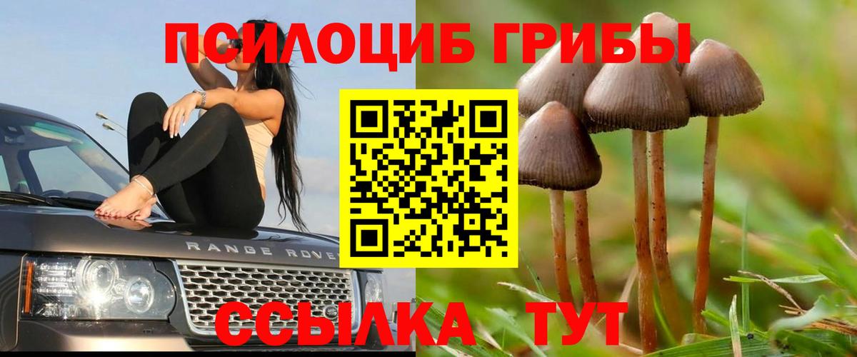 Псилоцибиновые грибы GOLDEN TEACHER  Вход с VPN  Арсеньев 