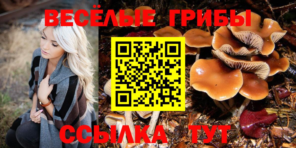 Галлюциногенные грибы мицелий Арсеньев